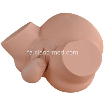 شبیه ساز آموزش MIDWIFERY